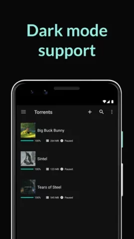 BitTorrent Pro - скриншот 4