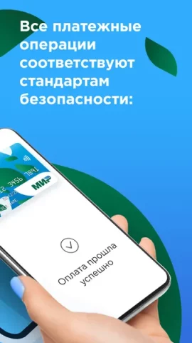 Mir Pay - скриншот 3