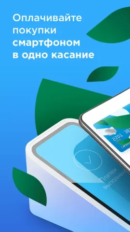 Mir Pay - скриншот 5