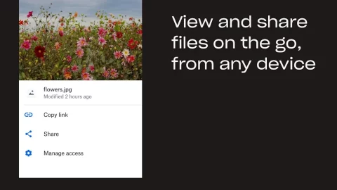 Dropbox - скриншот 1