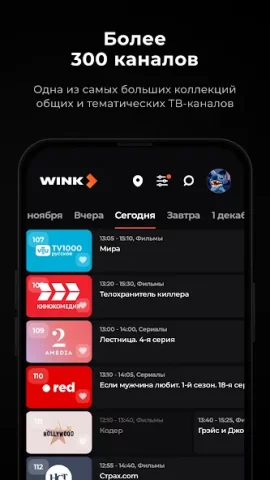 Wink - скриншот 2