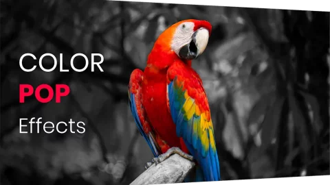 Color Pop Effects - скриншот 1