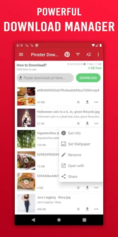 Pinster Advanced Downloader - скриншот 4