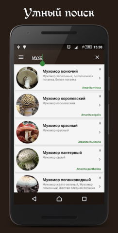 Справочник грибника - скриншот 2