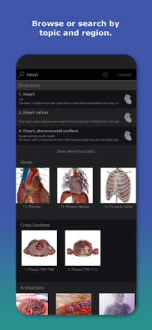 Human Anatomy Atlas 2026 - скриншот 4