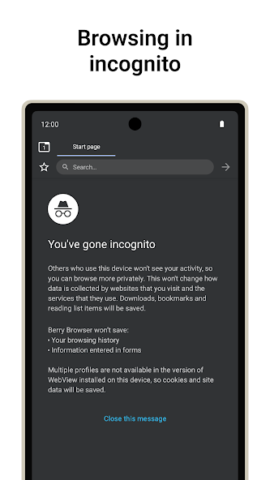 Berry Browser - скриншот 4
