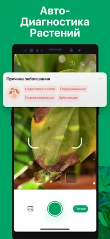 PictureThis - скриншот 3